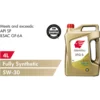 IDEMITSU IFG 5 Engine Oil 5W30 4L